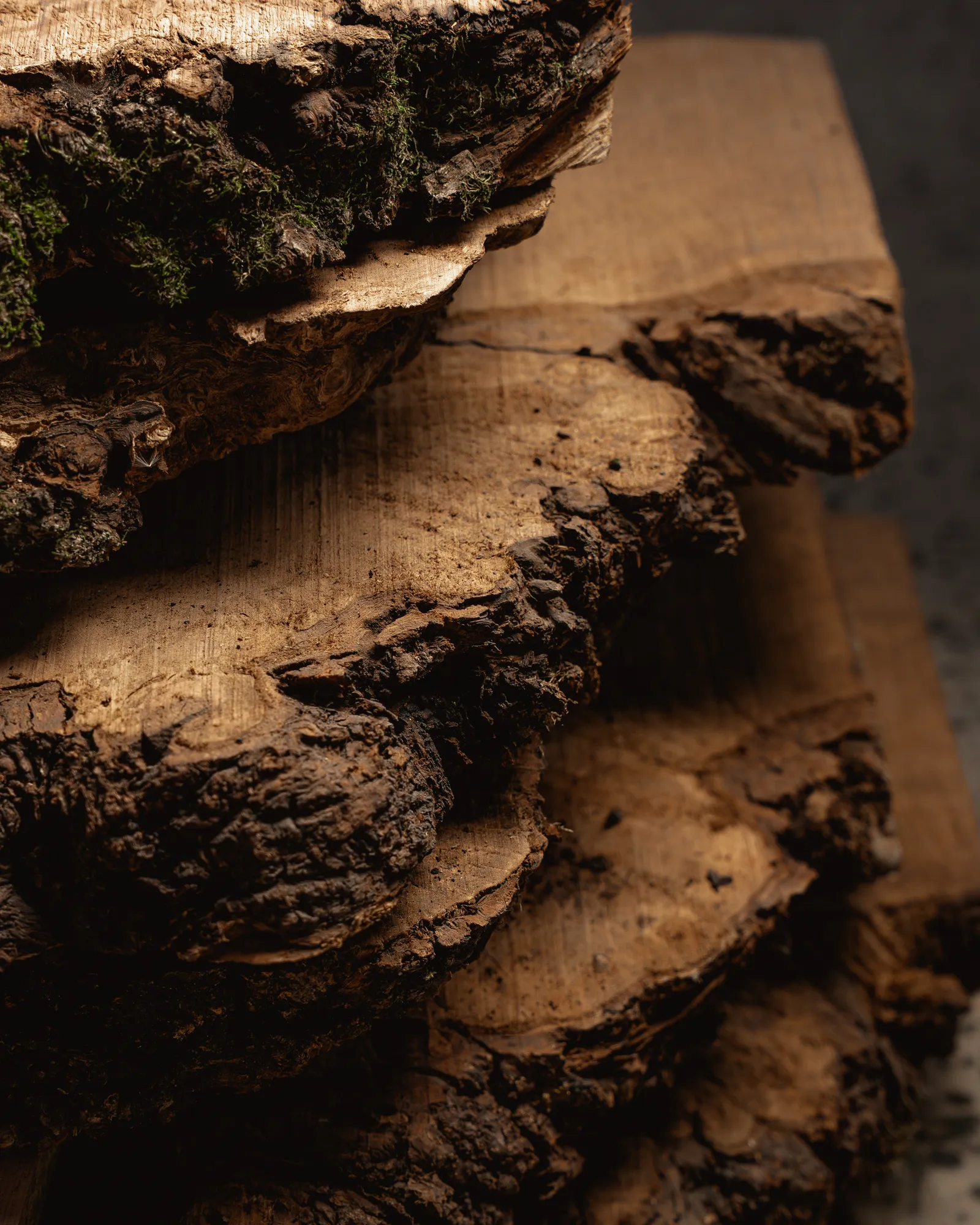 Agach Interiors · Emalatxana